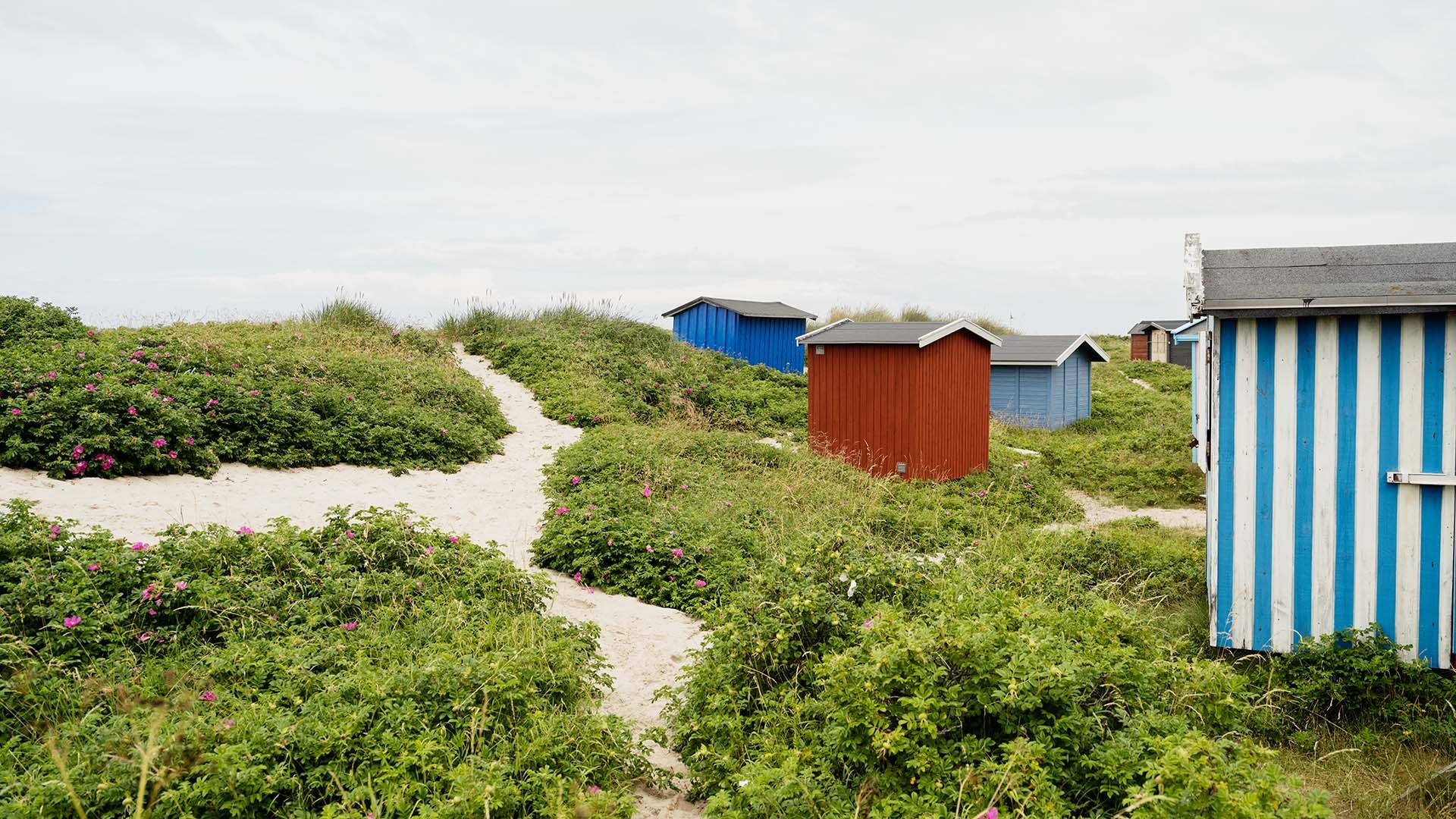 Dansk strand om sommeren, hvor rejseforsikringen også dækker.